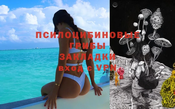 винт Балахна