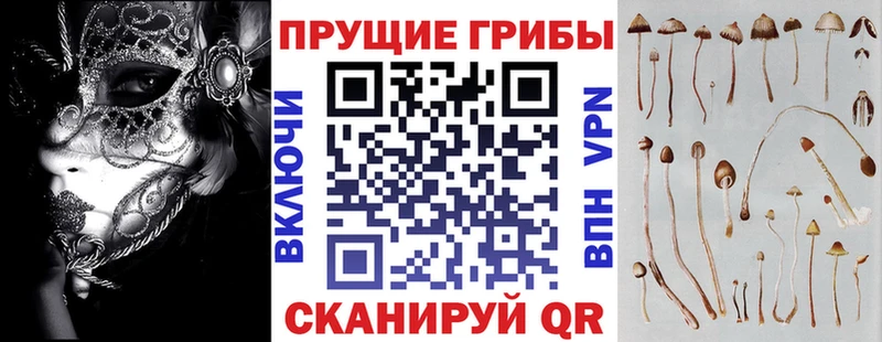 Псилоцибиновые грибы Magic Shrooms  наркошоп  Гремячинск 